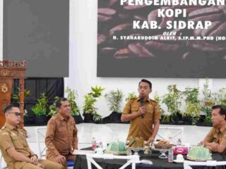Kopi dan Perubahan Mindset, Cara Sidrap Jaga Ekologi dan Ekonomi