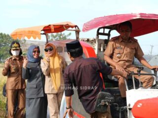 Panen Padi di Salobukkang Sidrap Hasilkan 3.300 Ton, Bupati Fokus Naikkan Pendapatan Petani