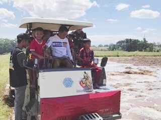 Aksi Unik Bupati Sidrap, Ajak Anak-Anak Belajar Operasikan Alsintan di Sawah Mojong