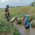 Cegah Penyumbatan, Babinsa Wala Gelar Massepee Irigasi Bersama Kelompok Tani