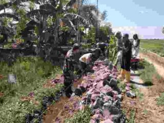 BABINSA DESA CIRO-CIROE GELAR KARYA BAKTI BERSIHKAN SALURAN AIR DI DUSUN MATTIRO