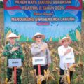 Polres Sidrap Panen Jagung Kuartal II Di Lahan Seluas 5 Hektar