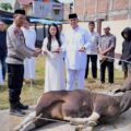 Ratusan Warga Antusias Terima Daging Qurban Polres Sidrap 