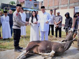 Ratusan Warga Antusias Terima Daging Qurban Polres Sidrap 
