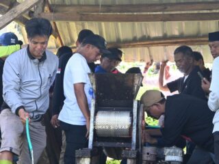 Panen Kopi Robusta di Pegunungan Tana Toro, Bupati Syaharuddin Ungkap Potensi Pengembangan