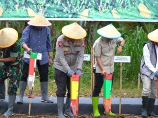 Polda Sulsel Perkuat Ketahanan Pangan Nasional Melalui Program Swasembada Jagung