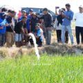Antisipasi Gagal Panen, Bupati Sidrap Turun Langsung Kawal Penyaluran Air ke Sawah