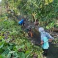 Cegah Banjir dan Sarang Nyamuk, Babinsa Koramil 1420-06 Bersama Warga Timoreng Panua Gelar Karya Bakti Bersihkan Drainase