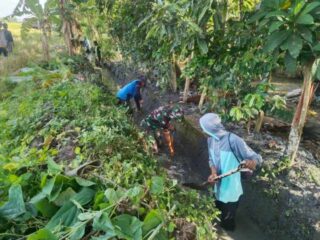 Cegah Banjir dan Sarang Nyamuk, Babinsa Koramil 1420-06 Bersama Warga Timoreng Panua Gelar Karya Bakti Bersihkan Drainase