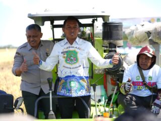 Panen PM-AAS Sidrap Lampaui Target, Produktivitas Capai 11 Ton per Hektare