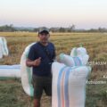 Embung dan Pompa Jadi Andalan, Petani Lagading Sukses Panen 11,3 Ton dari Sawah Tadah Hujan