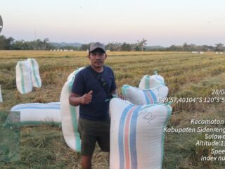 Embung dan Pompa Jadi Andalan, Petani Lagading Sukses Panen 11,3 Ton dari Sawah Tadah Hujan