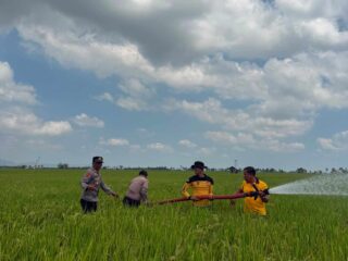 AKP Aiyub Pimpin Aksi Kemanusiaan, Water Cannon Polres Sidrap Basahi Sawah 80 Are yang Mengering