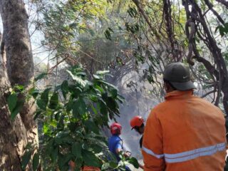 Anggota Koramil 04/Watangpulu Bersama Damkar dan Warga Padamkan Kebakaran Lahan di Bangkai