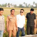 Bupati Sidrap: Program Listrik Masuk Sawah Ubah Nasib Petani, Tak Lagi Gagal Panen Saat Kemarau