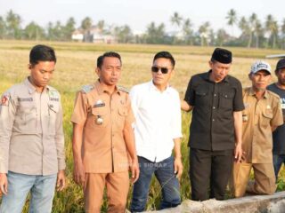 Bupati Sidrap: Program Listrik Masuk Sawah Ubah Nasib Petani, Tak Lagi Gagal Panen Saat Kemarau