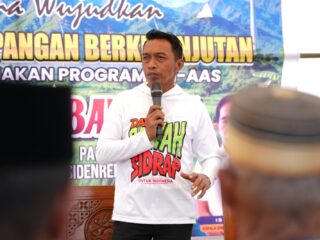 Sumur Bor Ubah Sawah Tadah Hujan di Panca Lautang, Panen Tembus 6,4 Ton per Hektare